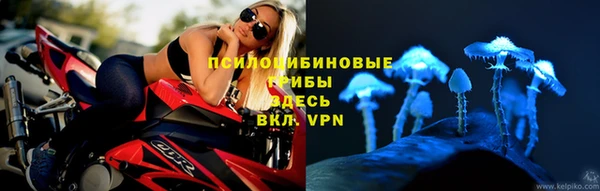 герыч Пересвет