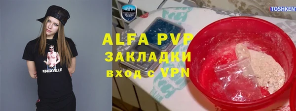 молекула духа Пестово