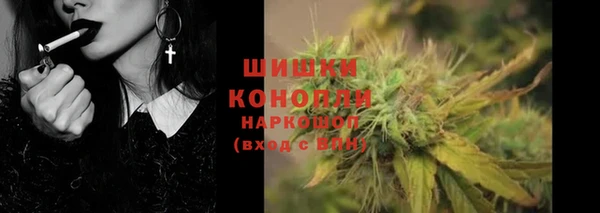 молекула духа Пестово