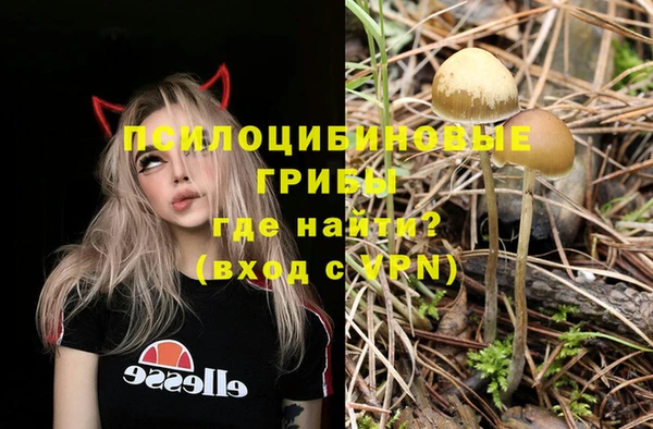 молекула духа Пестово