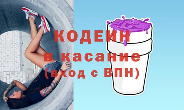 молекула духа Пестово