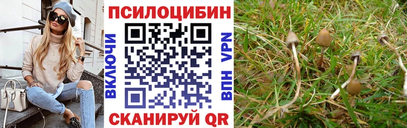 сколько стоит  Сорочинск  МЕГА вход  Псилоцибиновые грибы Psilocybine cubensis 