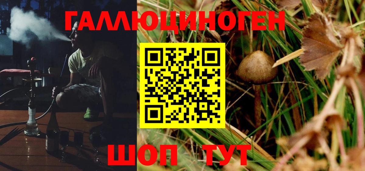 Галлюциногенные грибы Magic Shrooms Сорочинск
