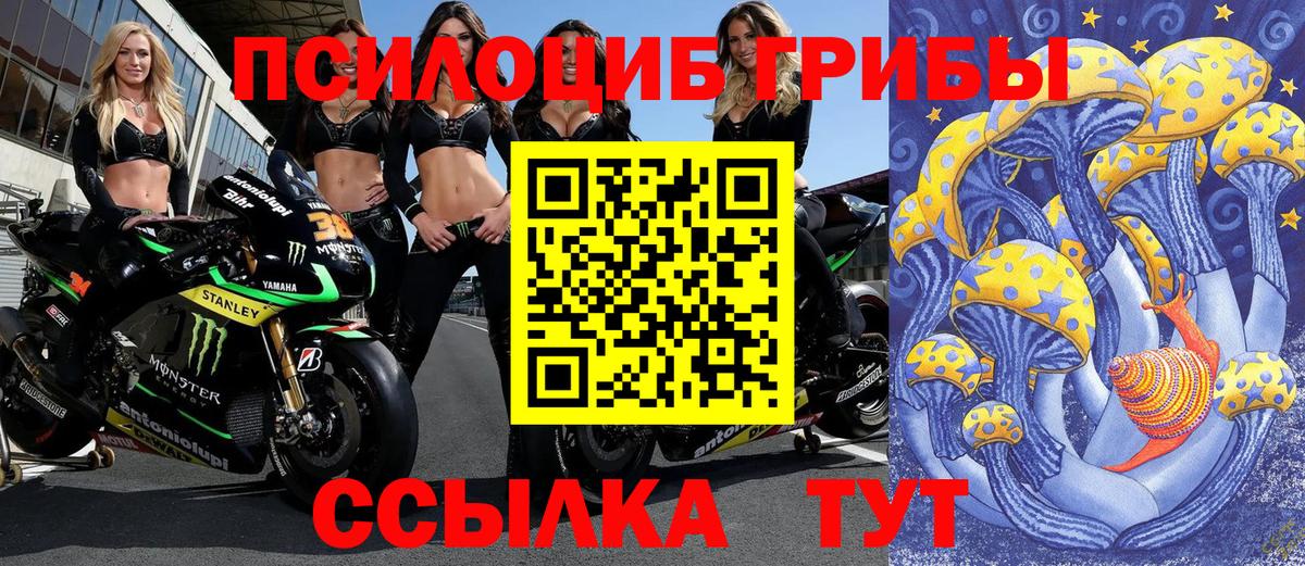 Псилоцибиновые грибы Psilocybe  Сорочинск 