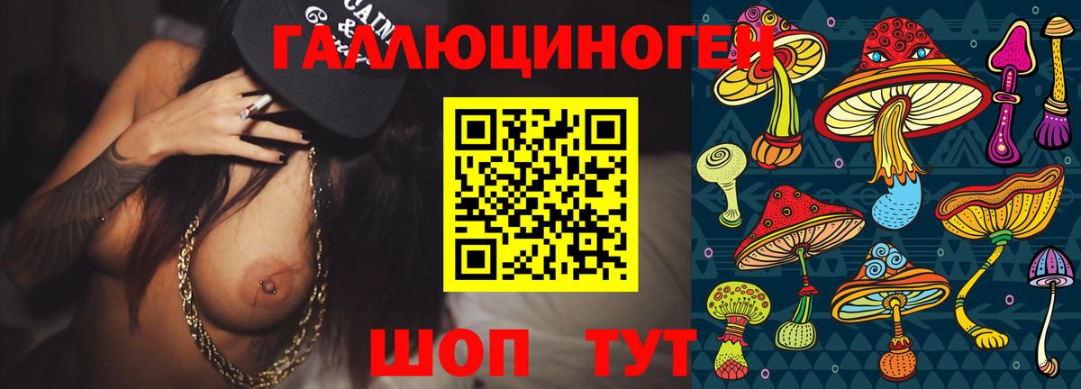 где купить наркотик  Галлюциногенные грибы GOLDEN TEACHER  Вход с VPN  Сорочинск 